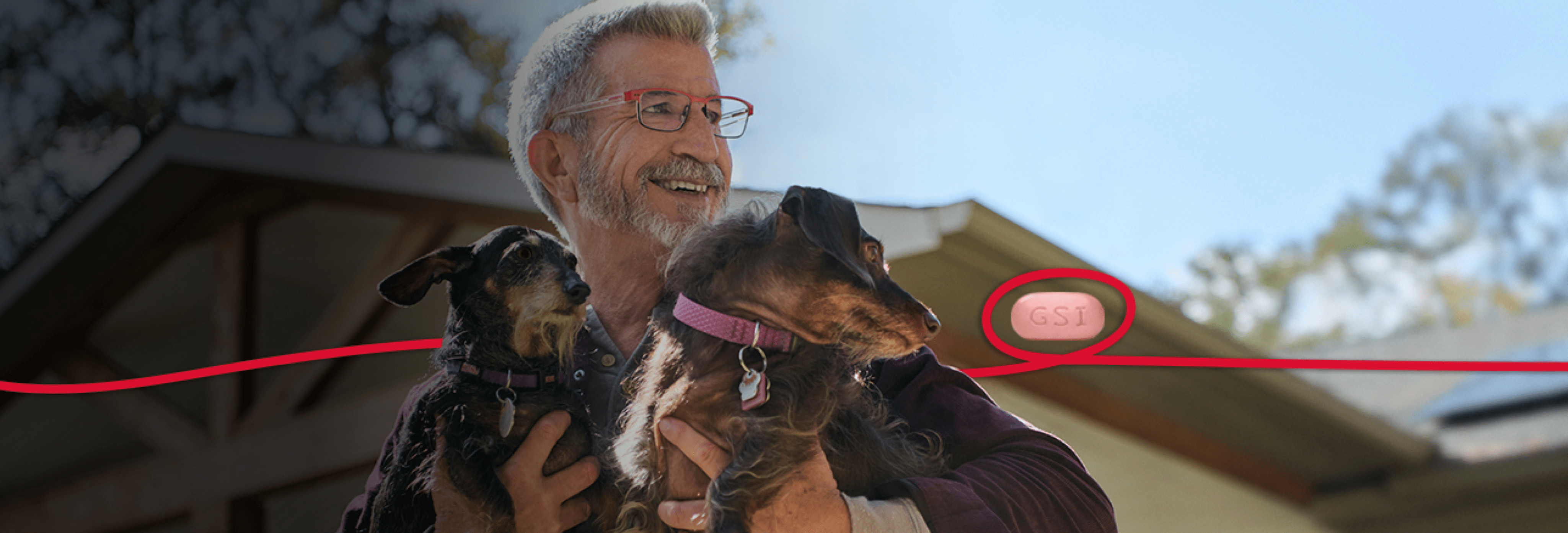 Theron holding 2 dogs.