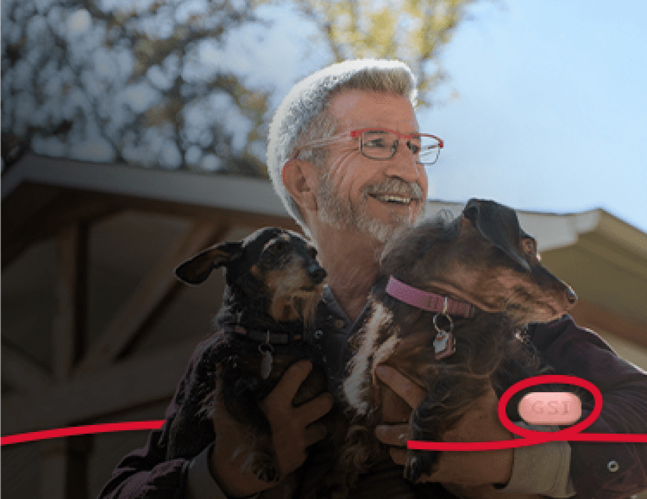 Theron holding 2 dogs.
