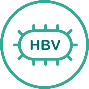 HBV testing