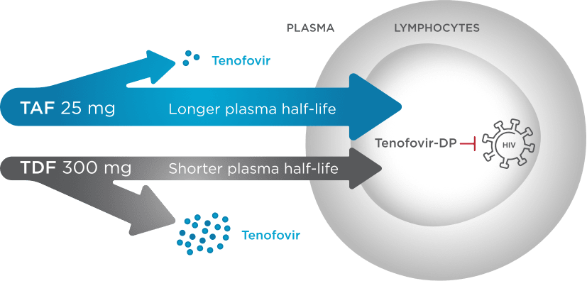 Graphic of TAF delivery MOA.